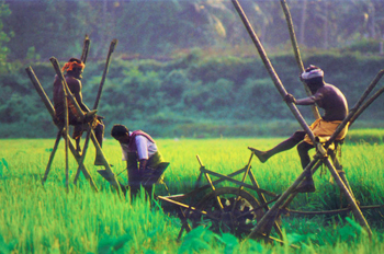 kuttanad